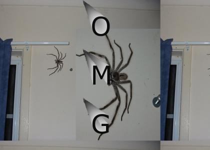 Horror Of ClockSpider