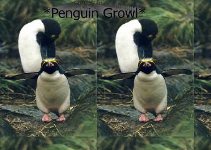 *Penguin Growl*