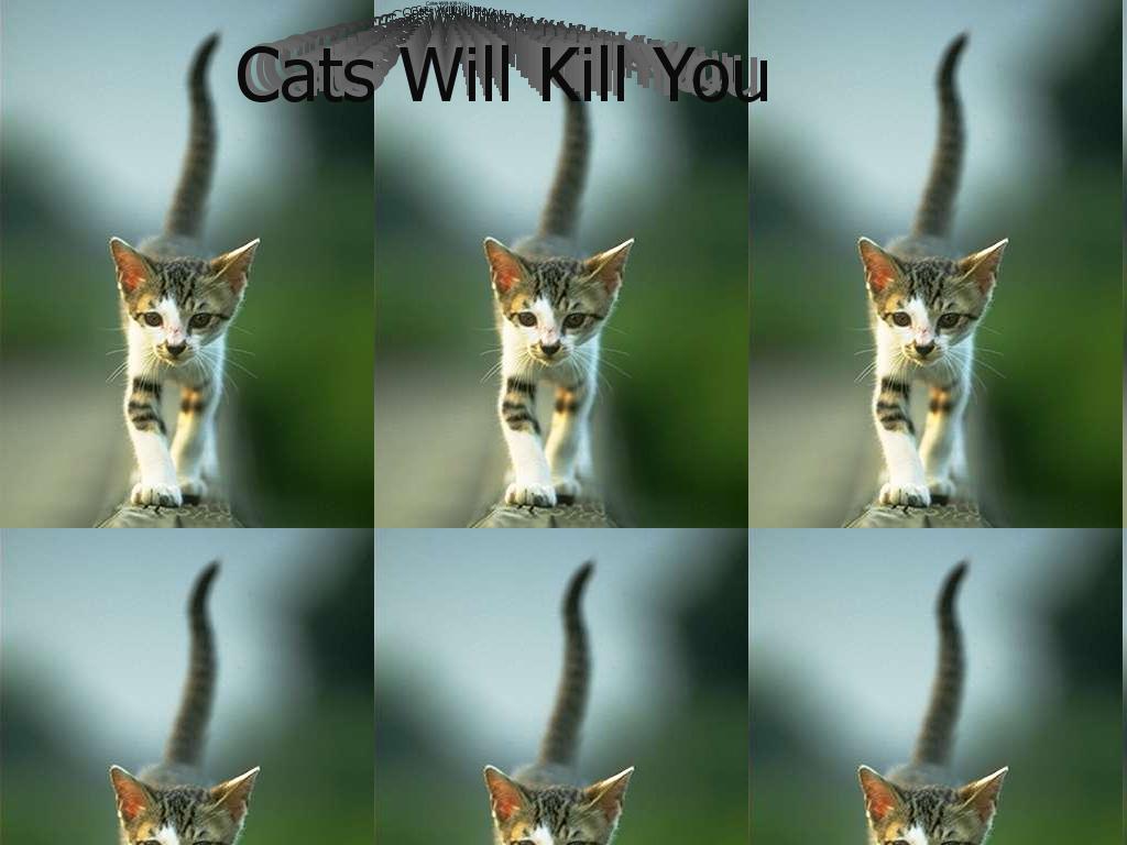 catswillkillyou