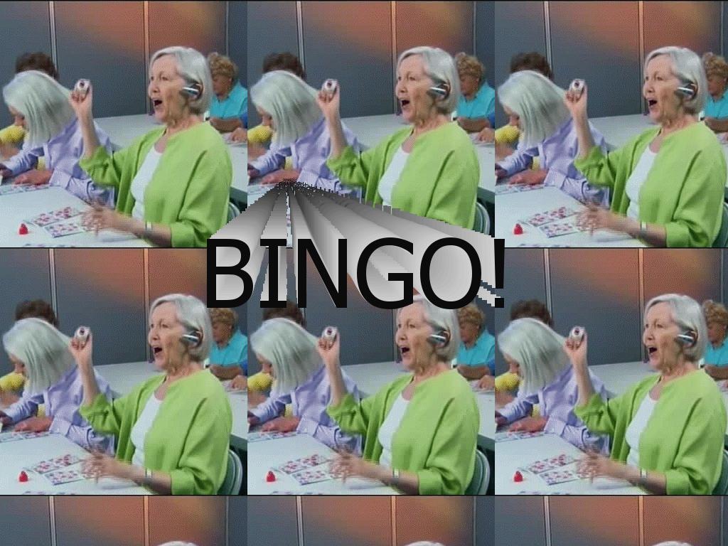 bingoooo