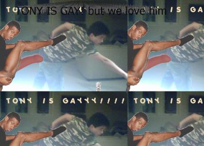 tony is gay