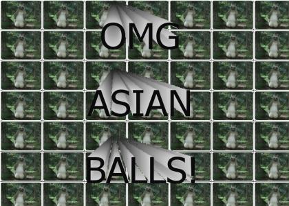 OMG ASIAN BALLS!