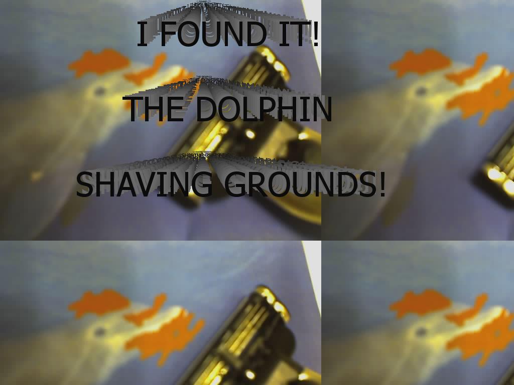 dolphinshaving