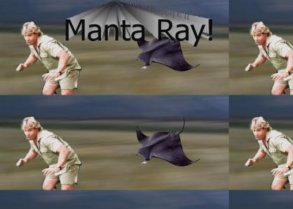 Steve Irwin Cannot Stop the Manta Ray