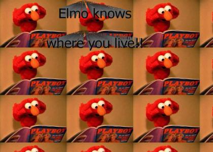 Elmo's been naughty!