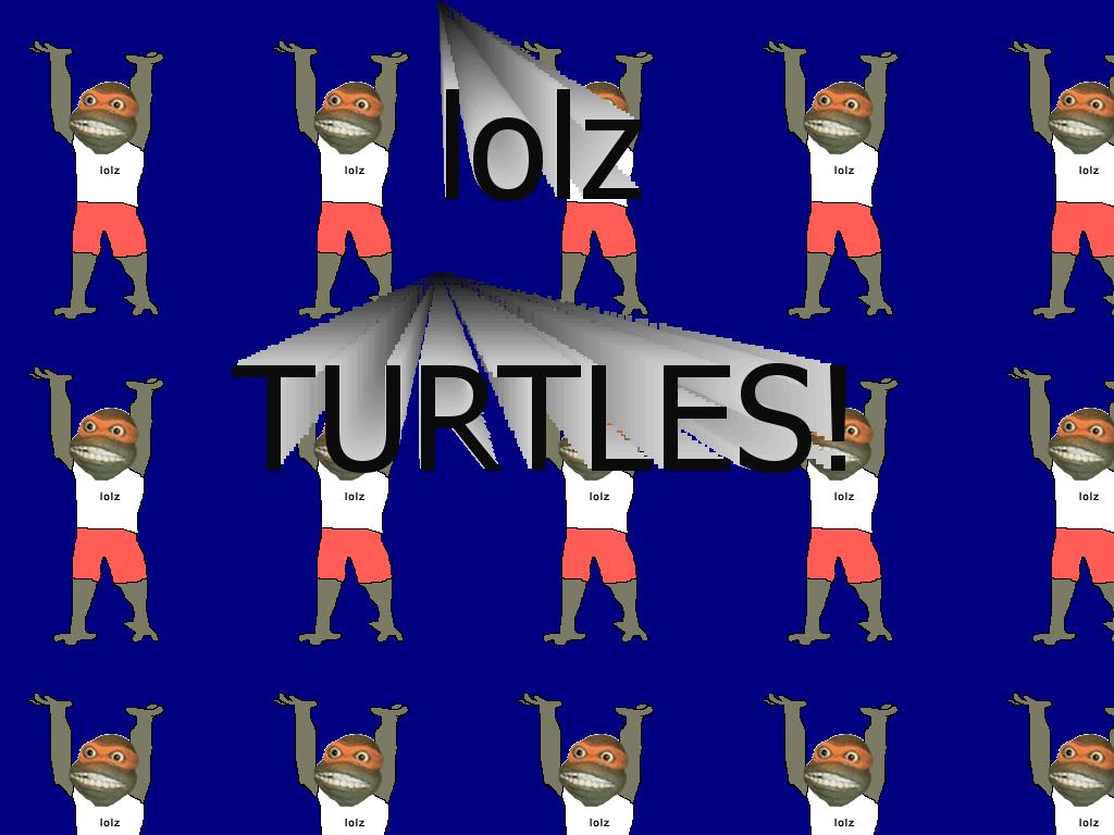 lolzturtlebettersong