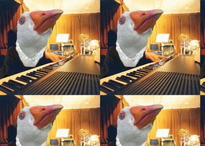 Creepy Duck plays piano for you .....o.O