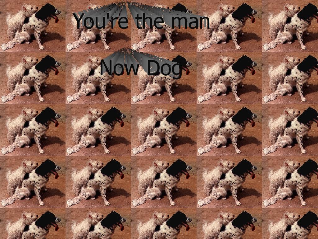 yourthemannowdog