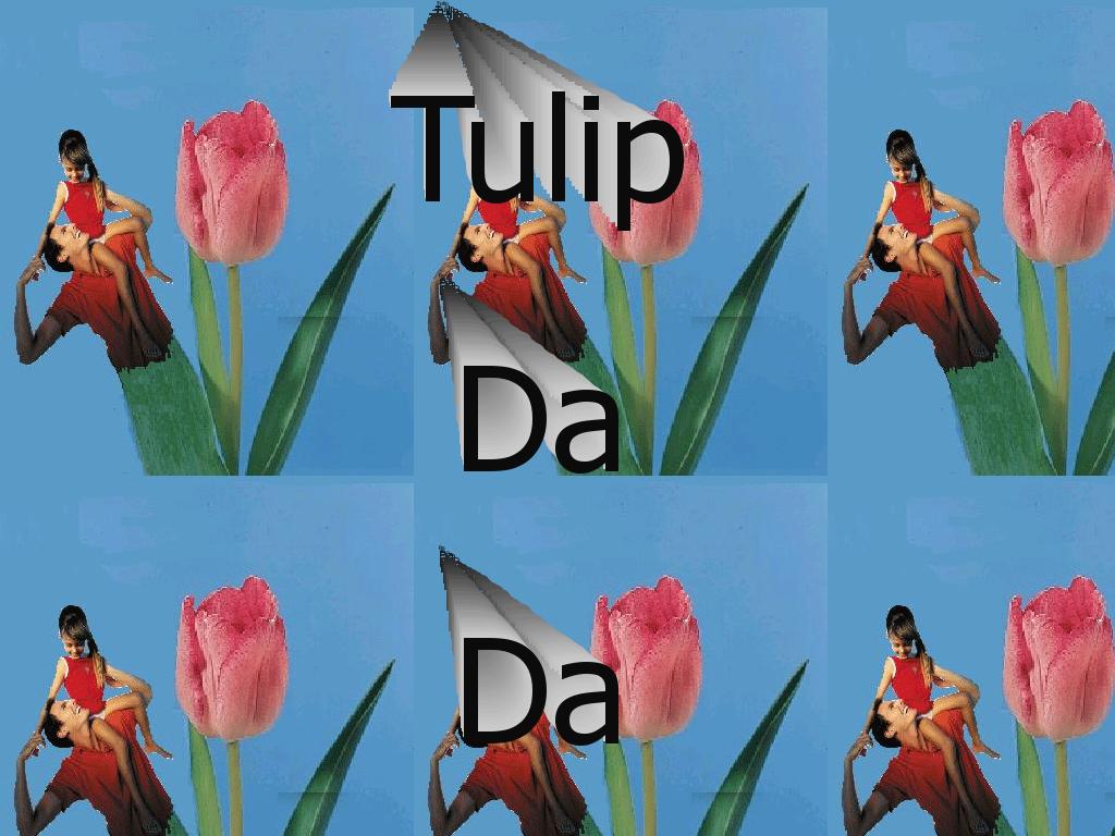 tulipdada