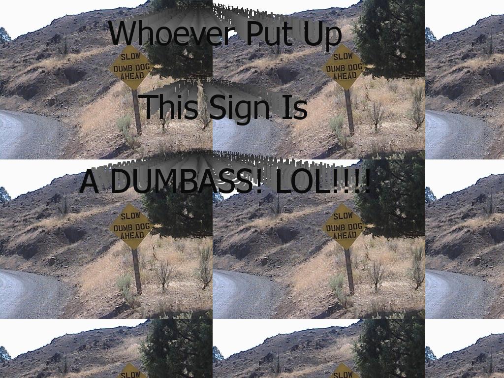 dumbroadsignever