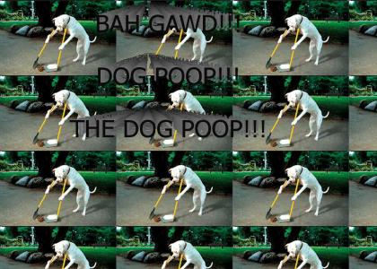 The dog poop!