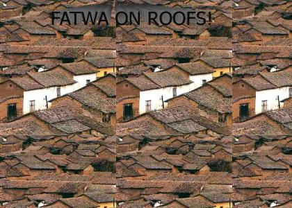 War on roofs!