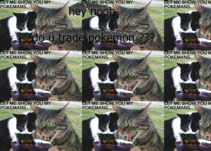 pokemons cats