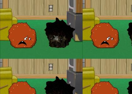 Boxy Brown yells at Meatwad