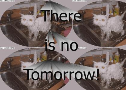 SYMAOB: Wet Cat says there is no tomorrow
