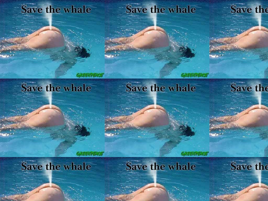 savewhale