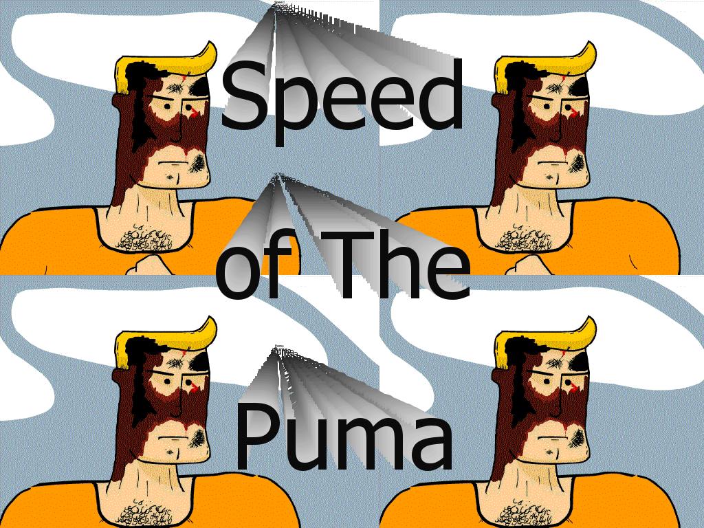 pumaaa