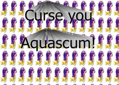 curse you aqua scum!