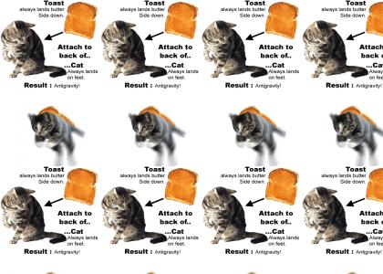 Epic Cat and Toast Maneuver