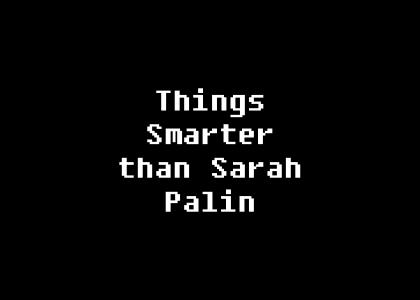 Things Smarter Than Sarah Palin