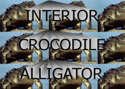 INTERIOR CROCODILE ALLIGATOR