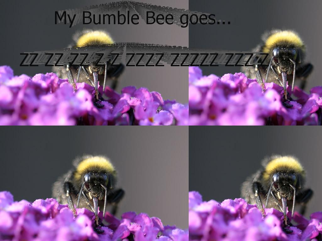 mybumblebee