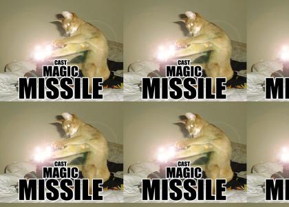 I WANNA CAST...MAGIC MISSILE!