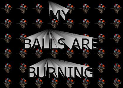 MY BALLS ARE BURNING