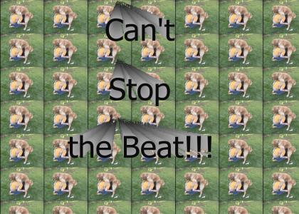 Cant stop the beat...