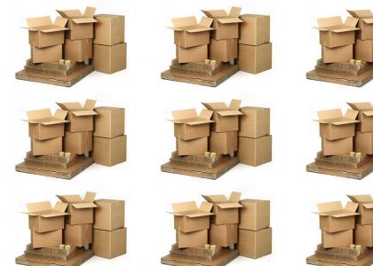 Cardboard boxes rule!