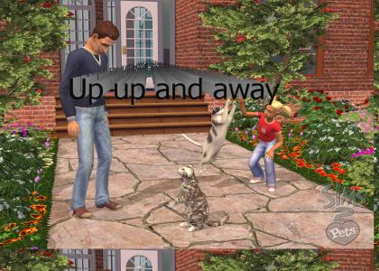 Supercat makes it into The Sims 2