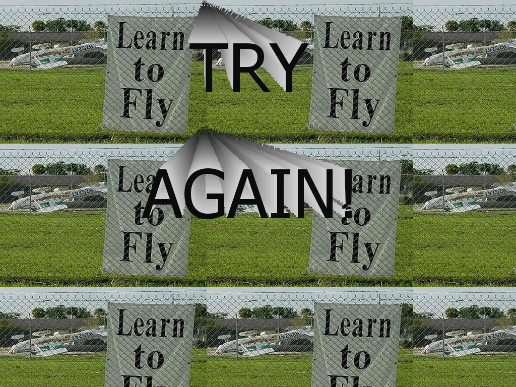 learntoflynowdog