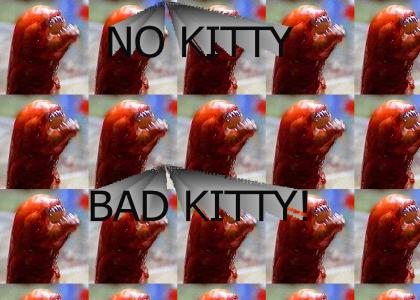 NO KITTY! BAD KITTY!