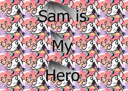 Sam is my Hero
