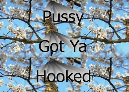 Hooked on Pussy