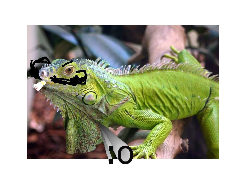 iguanawmustache