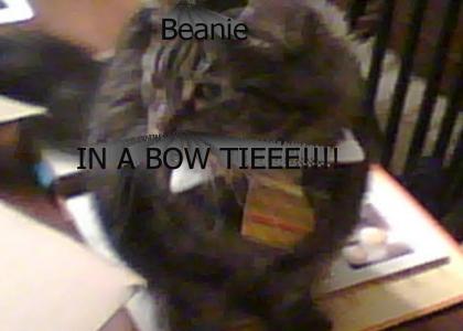 Beanie Bow Tie