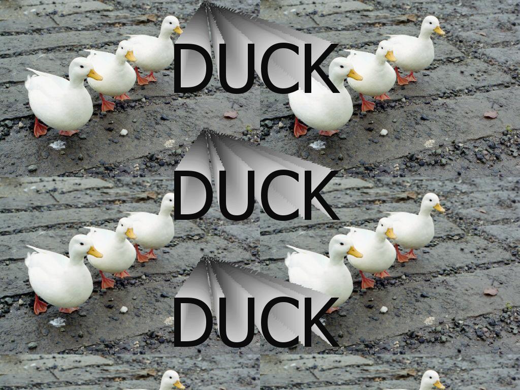 duckduckduck