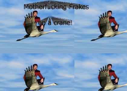 Frakes on a Crane