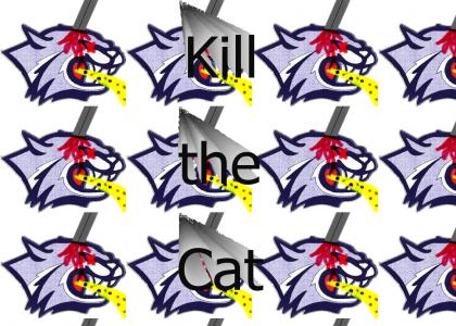 Kill Cat