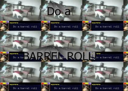 Doggy Barrel Roll NOW