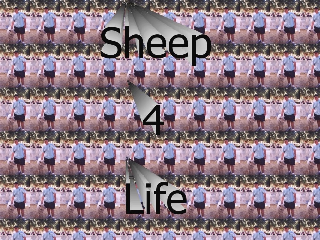 sheepgirlfriend