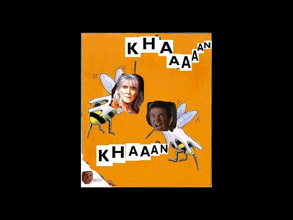 omgkhanbees