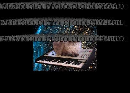 LOUDTMND: Catonakeyboardinspace