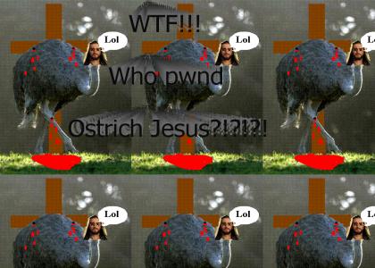 RIP Ostrich Jesus