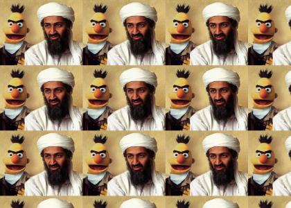 bert n bin ladin