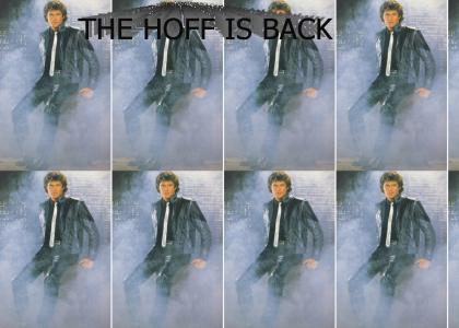 THE HOFF - YOU'RE NOT GUILTY