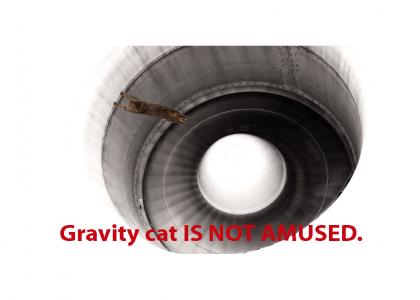 Gravity Cat is NOT Amused by Turbine Engines
