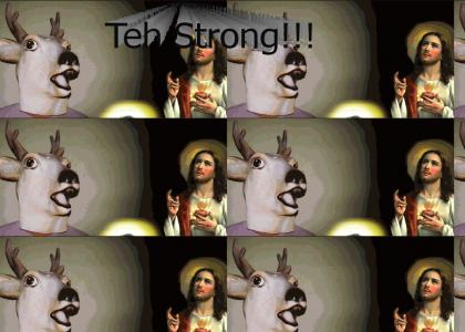 Teh Strong