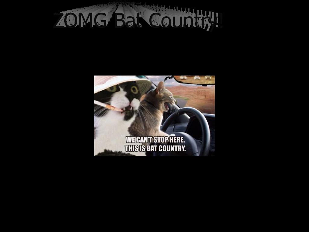 zomgbatcountry